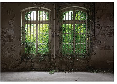 WallArena - Vlies Fototapete Fenster Pflanzen Blätter Vintage Betonoptik 368x254 cm - Fototapeten - Tapeten - für Wohnzimmer Schlafzimmer - Vliestapete Wandtapete Tapete 3D Effekt- inkl. Kleister