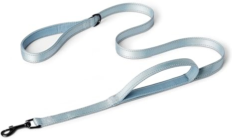 Amazon Basics Correa Reflectante de Doble Cara para Perros con Dos Asas Acolchadas y Anilla en D, 180 cm, Negro/Azul