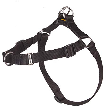 Dingo Hundsele storlek 100 (70–105 cm) bredd 3 cm svart inget drag polypropylen rem anti-drag sele inget drag för din hund bröstsele