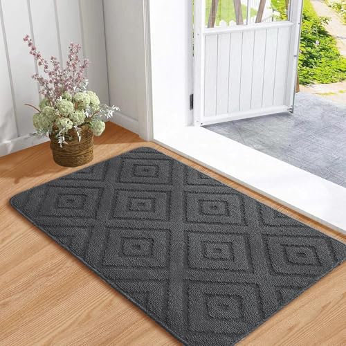 Aoxisicoo Indoor Dirt Trapper Mat, Non-Slip Doormat, Bath Mat, Waterproof and Robust Dirt Trapper for Entrance, Front Door, Patio, Outdoor Door Mat, Washable Foot Scraper, 80 x 120 cm, Dark Grey