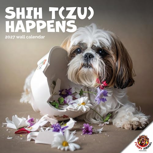 Shih T (zu) Happens kalender 2026 från kollektionen med roliga djurkalender. Stor fyrkantig väggkalender, 16 månader, rolig hund