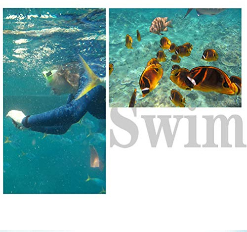 Generic Masque de Plongée Monoverre Étanche Confortable Haute Définition pour Enfants et Adolescents Natation Snorkeling Matériau Acier Inoxydable Taille Réglable (Bleu)