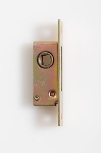 BARY Mortice Budget Lock