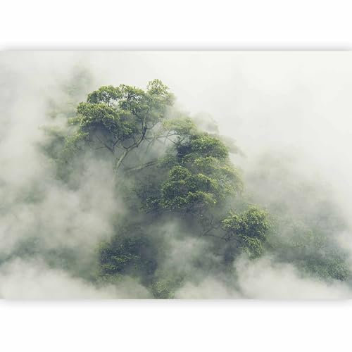 murando Fotomurales autoadhesivo Bosque Niebla 343x256 cm Papel Pintado Decoración de Pared Murales Pegatina decorativos adhesivos 3d moderna de Fotográfico Naturaleza Arbol Paisaje b-B-0486-a-a