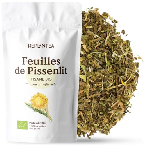 TISANE DE PISSENLIT FEUILLE BIO 100g (50 Tasses) | Infusion de Pissenlit, Drainage et Diurétiques REPLANTEA