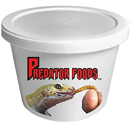 Predator Foods Bulk Live Mealworms - 250 Count (Medium ~.5)