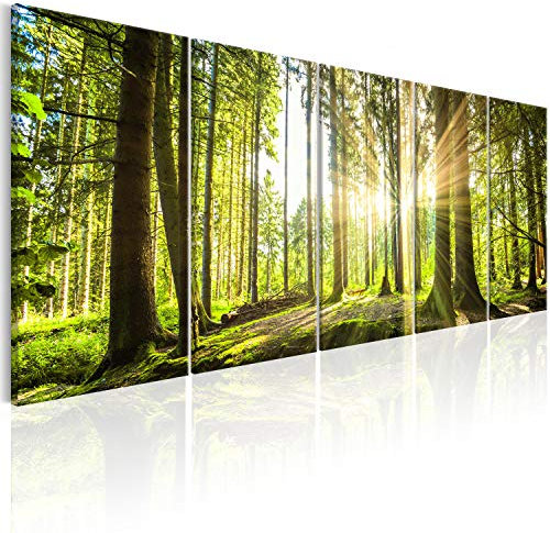murando - Cuadro de cristal acrílico Bosque 150x60 cm Impresión de 5 Piezas Pintura sobre Vidrio Imagen Gráfica Decoracion de Pared Abstracto - Bosque Paisaje Naturaleza Arbol c-C-0177-k-n