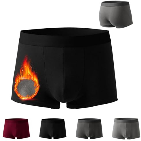 Fleece Lined Thermals Underpants for Men, Winter Thermal Boxers for Men, Boxers Briefs for Men, Thermal Underwear (Black,X-Large)