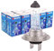 TECPO 10x H7 Halogen Lampe 12V 55W PX26d Autolampe Scheinwerfer Lampe Ersatzlampen Abblendlicht Fernlicht Nebellicht Glühbirne