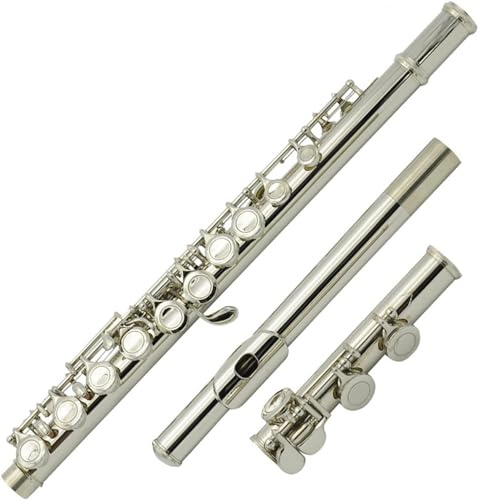 LABLADUO Flöjter, flöjter musikinstrument 16-håls testflöjt nickelpläterad C-Tune-flöjt Musikinstrument Nickelpläterad flöjt