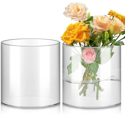 APACALI 2 pezzi vaso cilindrico in vetro, 15 cm di altezza, vaso cilindrico per fiori, vaso in vetro trasparente rotondo, vaso in vetro chiaro, vaso per fiori in vetro per orchidee, rose, tulipani