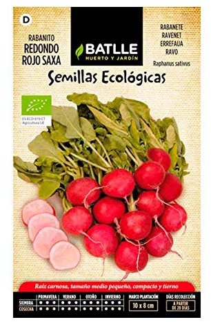 Portal Cool Semi Bio Batlle Radicchio Rosso Tondo Saxa (5G)