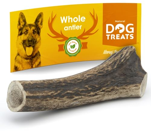 Natural Dog Treats - Hunde Hirschgeweih - Natürlich Hirschgeweih für Hunde - Kauknochen Hund - Kaustangen Hund - Kauspielzeug und Zahnpflege - Hundespielzeug - Mittlere Größe (76-100gr)