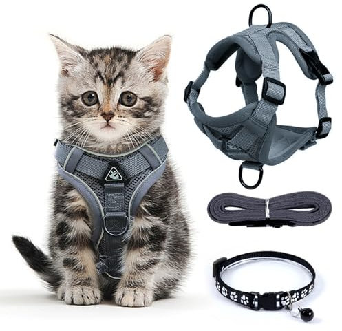 FINEASY Katzengeschirr mit Leine Ausbruchsicher und Katzenhalsband, Verstellbares Katzenleine mit Geschirr, Geschirrset Cat Harness Weich Softgeschirr für Katze Kitten Hunde Brustgeschirr (Grau, M)