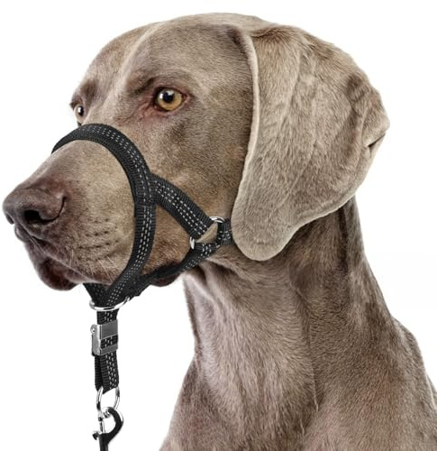 BARKLESS Sturdy No Pull Head Collar for Medium Large Dogs, Gentle Reflective Head Halter with Safety Link, Adjustable Nylon Dog Training Muzzle Leash for Walking Control (Black, XXL)