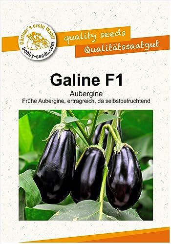 Gemüsesamen Galine F1 Aubergine Portion