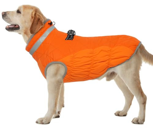 Hjumarayan Hundemantel für Kleine, Mittelgroße und Große Hunde - Winter Warme Wasserdichte Hundejacke Gefüttert, Outdoor Mantel für Labrador (Orange XXXL)