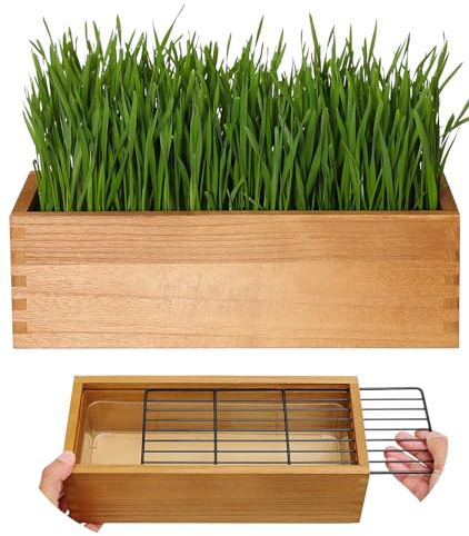 BENPIN Wooden Cat Grass Planter (no Seeds Included) with Potting Soil Disks, Anti-Digging Grid and Removable Plastic Liner, Wheat Grass Growing Pot, Cat Grass Kit for Indoor Cats Pets (Aged Yellow) | with Potting Soil Disks, Anti-Digging Grid and Removable Plastic Liner, Wheat Grass Growing Pot for Indoor Cats Rabbits Pets