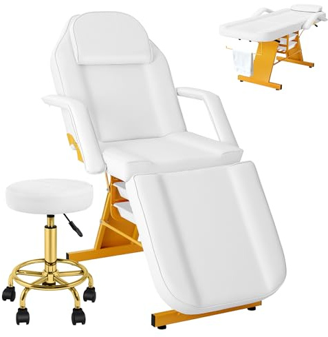 Tythical Tattoo Facial Chair for Clients, Multi-Purpose Esthetician Lash Wax Bed with Adjustable Backrest, Professional Beauty Salon Spa Chair for Tattoo Shop Furniture, White Glod