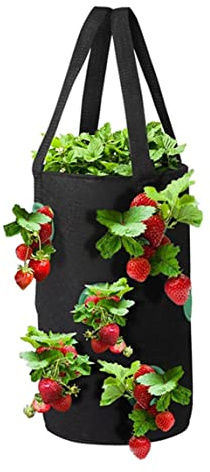 Uanqfegy Sacco per coltivazione di fragole da 3 galloni, fioriera sospesa per pomodori con 12 fori, sacco per piantare traspirante per frutta e verdura
