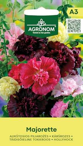 AGRONOM | Rose trémière - MAJORETTE | Graines de fleurs | Graines de plantes | Plantes bisannuelles | Tiges fortes et dressées, grandes fleurs | Graines de jardin | 1 paquet