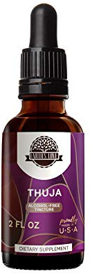 HerbEra Earth's Love - Thuja Alcohol-Free Herbal Extract Tincture, Super-Concentrated Wildcrafted Thuja (Thuja plicata) Dried Leaf (2 Fl Oz)
