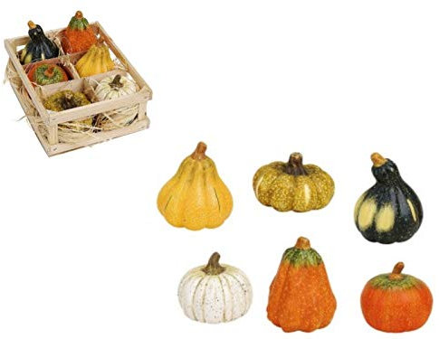 meindekoartikel Halloween 6er Set in Kiste Deko-Kürbis „Kürbis mit Gesicht“ aus Ton 6-Fach Sortiert -orange/grün/gelb/Weiss Höhe 7-9 cm