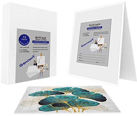 Genixart Vita tomma tygpaneler, 20 x 25 cm/8 x 10 tum 12-pack, grundade professionella konstnärsdukar tavlor för akryl- och oljemålning