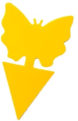 30 PCS Fruit Fly Traps – Double-Sided Sticky Catchers for Fungus Gnats & Other Insects – Plant Fly Control for Indoor/Outdoor Use, Garden, Farm & Greenhouse