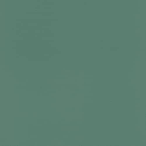 Rasch 807615 tapet 807615-enfärgad grön med ljus struktur-10,05 m x 0,53 m (L x B) fibertapet