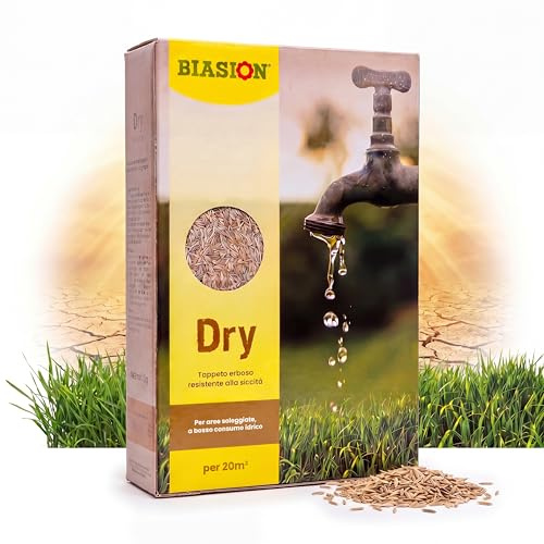Biasion® DRY - miscuglio di semi da prato a rapida crescita di alta qualità per tappeti erbosi soleggiate, a basso consumo di acqua, resistenti alla siccitá - 1kg/20m²