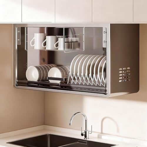 TUPAFJU Scolapiatti a parete in acciaio inox con porta in vetro, portapiatti a parete con vassoio di scarico, portapiatti multifunzionale, non richiede montaggio(Gray)
