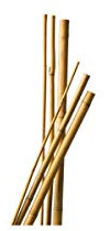 Lot de 10 Tuteurs Bambou 60 cm diam 6-8 mm
