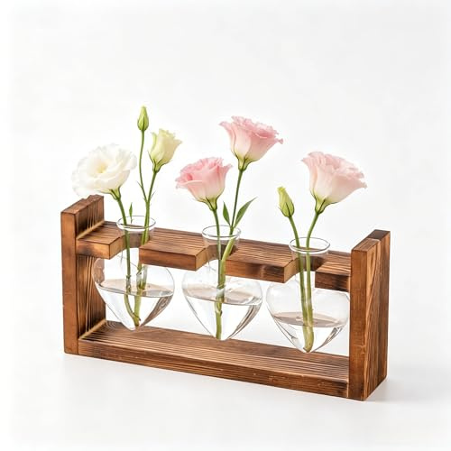 RARITYLL Heart-Shaped Glass Bulb Vase Set with Wooden Stand, 3-Piece Clear Plant Propagation Station, Hydroponic Terrarium Kit, 27.6x13x5.7cm, for Indoor Plant Decor, Tabletop, Desk Centerpiece