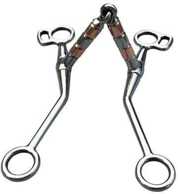 Generico Morso per Cavallo Western da 5 Pollici, Acciaio Inossidabile con Rullo in Rame