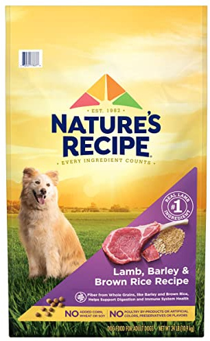 Nature′s Recipe Lamb, Barley & Brown Rice Recipe Dry Dog Food, 24 lb. Bag