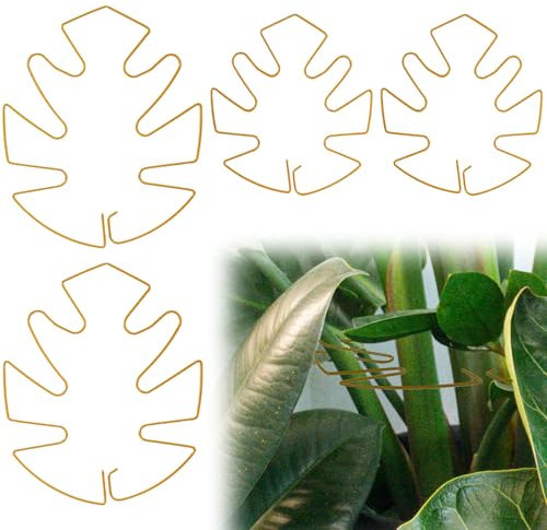 BOXOB 4pcs Monstera Leaf Plant Support, 2 Size Climbing Plant Stem Support Hooks Ideal Monstera Stabilizer Grapple Holder Turtle Shell Clamp Set for Thriving Growth Plant (Gold)