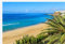 HCYEFG 1000 Stück Puzzles Jigsaw Für Kid Erwachsenes Palme Am Strand In Morro Jable Feriendorf Fuerteventura Kanarische Inseln Puzzle DIY Spiel