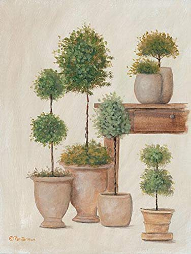 ArtExpert Potting Bench & Topiaries I by Pam Britton - 24 x 32 Premium Gallery Stretched Canvas Ready to Hang