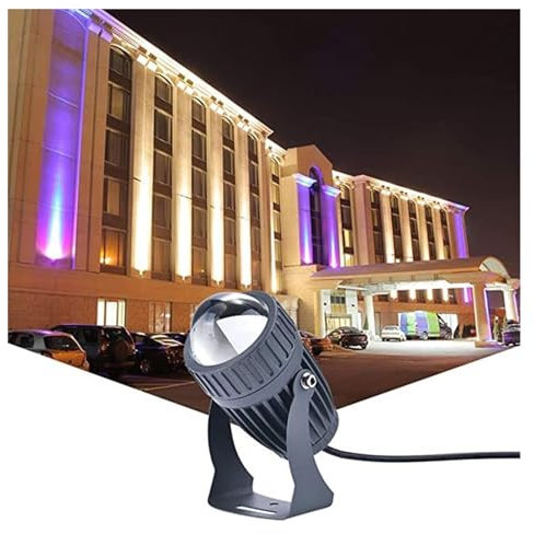 Utomhusprojektorer - LED-projektorer 10 W, LED-fontänlampor, IP68 vattentät projektor, smal strålprojektor, utomhusvägglampa, LED-strålestrålkastare utomhus (färg: