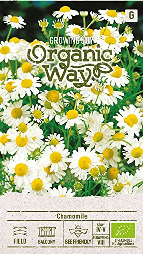 Organic Way | CAMOMILLE des graines | Graines de fleurs | 1 Paquet