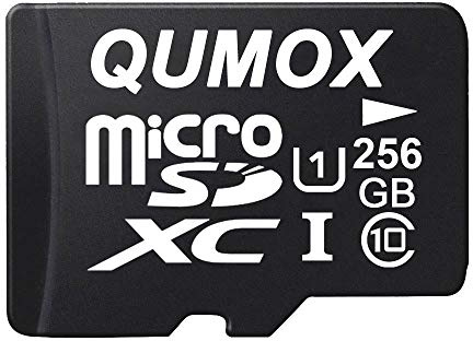 QUMOX Scheda di memoria Micro SD da 256 GB Classe 10 UHS-I 256 GB scheda di memoria