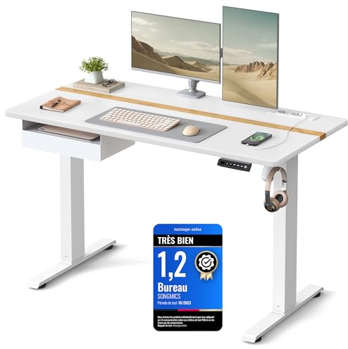 VASAGLE Höhenverstellbarer Schreibtisch elektrisch, 120 x 60 cm Tischoberfläche, Memory-Funktion mit 4 Höhen, mit Steckdosen und Stoffschubla, wolkenweiß-golichenfarben LSD112W01