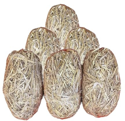 Natural Barley Straw for Ponds. Pond Water Treatment for Clear Water & Blanket Weed Control. Fish Safe Pond Cleaner for Koi, Wildlife & Gardens. Algae Treatment Straw Pods 6 Pack.