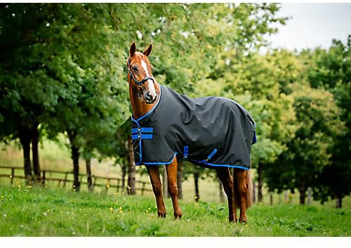 Horseware Amigo Ripstop 900D Lite 0 g turnout filt svart/klassisk blå takstorlek: 90 cm/4 tum 6