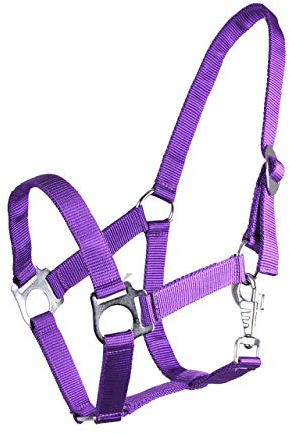 ARBO-INOX® Halfter mit Schiebeschnalle Stallhalfter Basic (Shetty, lila)