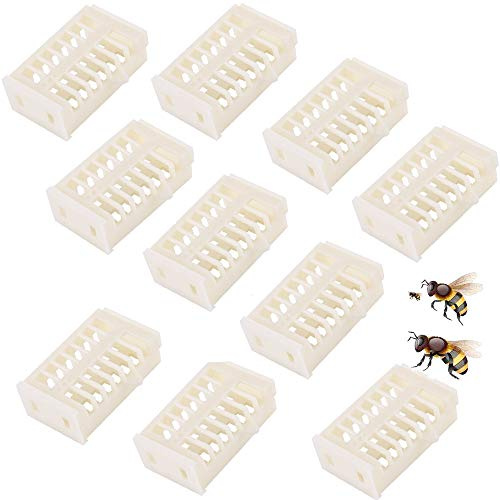 nuluxi Gabbie di Protezione Attrezzatura di Apicoltura Catcher Api Regina Gabbia di Plastica Set Gabbia per Regina in plastica Strumento di Cattura Attrezzatura Indispensabile per Gli Apicoltori