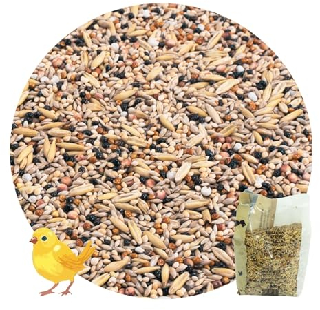 R&M Kanarien - Futter 0.8kg | ohne Rübsen, Komplettfutter für Kanarienvögel