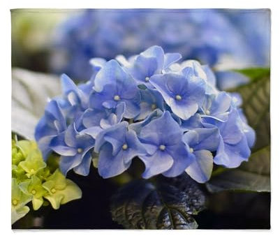CafePress Blue Hortensia Throw Blanket Super Soft Fleece Plush Throw Blanket, 60x50