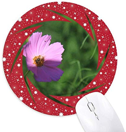 rose pâle cosmos tapis de souris rouges rondes roues en caoutchouc